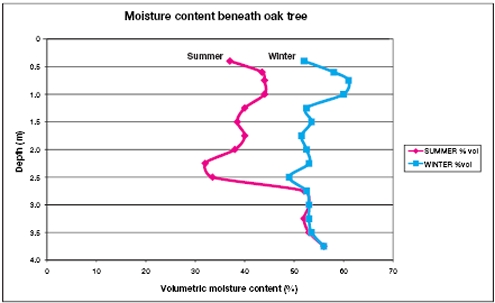 Graph showing seasonal variation in moisture content beneath an oak tree