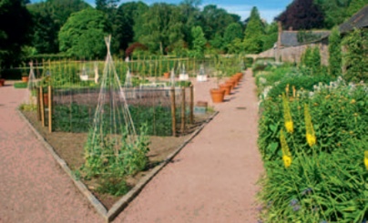 Paths and plantings in the The Garden of Scottish Fruits