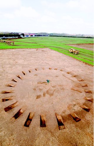 Archaeological dig