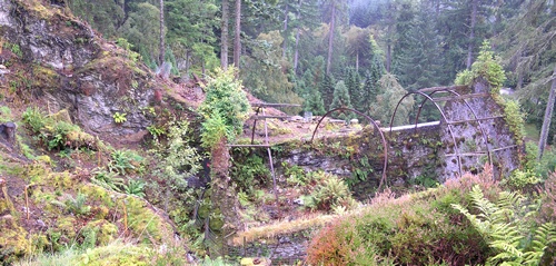 Wide-angle shot of the unrestored fernery and the rocky slope in which it is embedded