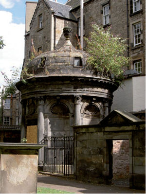 Buddleia sprouting from a mausoleum roof