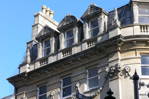 Bird exclusion netting over historic facade