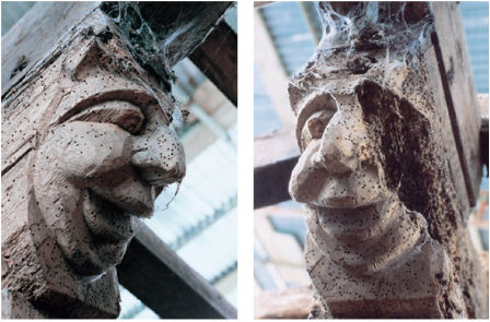 Carved wooden detail riddled with wood boring insect holes