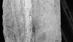 Timber post with emergence holes