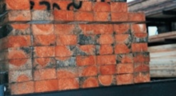 Stack of timber with blue-stain fungus visible in end grain