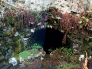 The overgrown grotto with stairways to either side