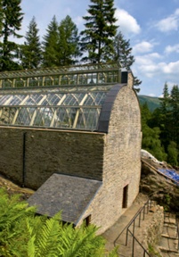 Towering gable wall and new roof of the restored fernery