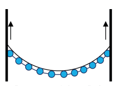 Sectional diagram showing the concave surface of water in a capillary with surface layer of water molecules represented by linked blue circles
