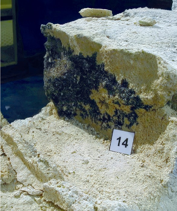 Result of dye penetration testing of Panel 5 showing black colouration along mortar perpend joints