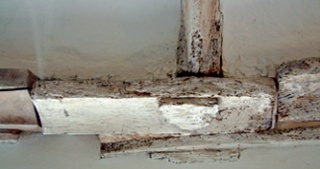 Limewashed section of wall plate after conservation