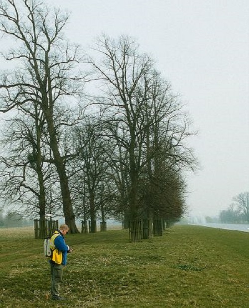 Historic parkland at Hampton Court