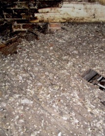 Rotting timber floor with heavy build-up of bird guano