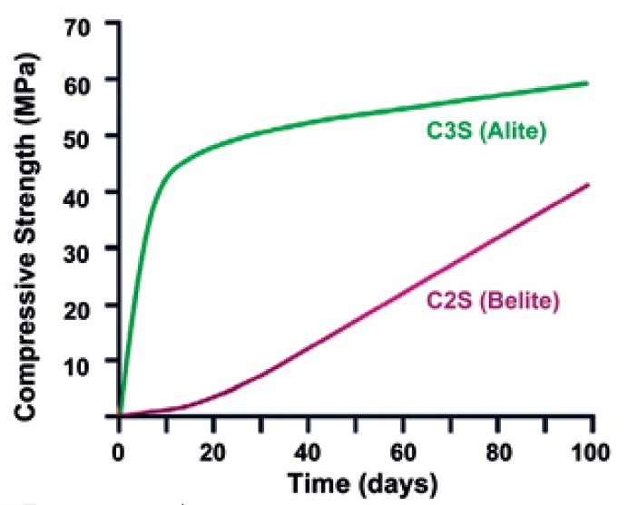 A line graph showng the compressive srength development in pastes C3S (Alite) and C2S (Belite) over a time span of 100 days