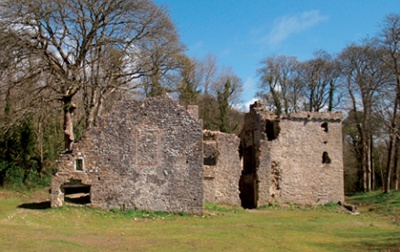 The ruined exterior of Candleston Castle with woodland behind