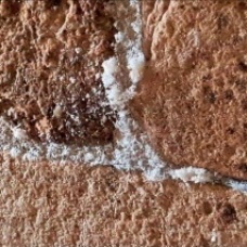 Salts leaching from a mortar joint