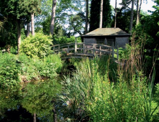 Elements of the restored dew pond at Brackenhurst Estate, Nottinghamshire