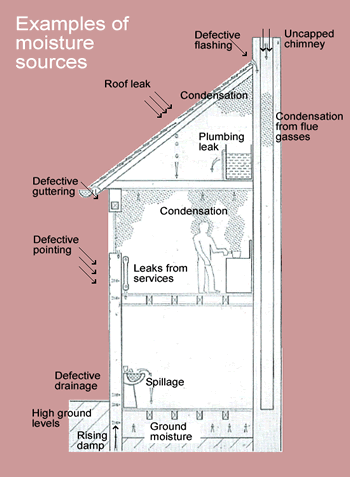 Diagram of building showing moisture sources