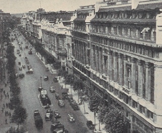 B/w photograph showing rows of trees planted along the broad pavements of Kingsway