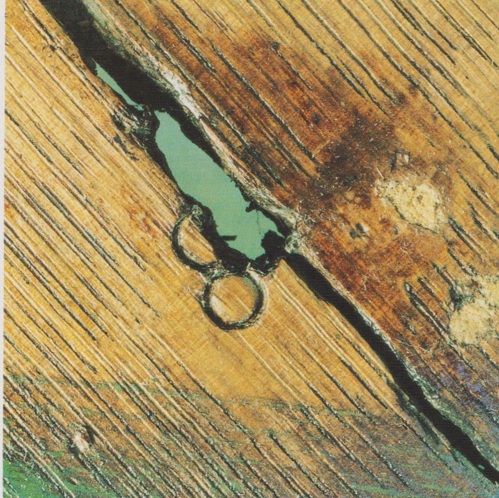 Split resulting from the expansion of a corroding nail now removed