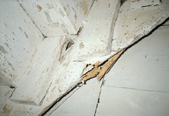 timber decay in staircase